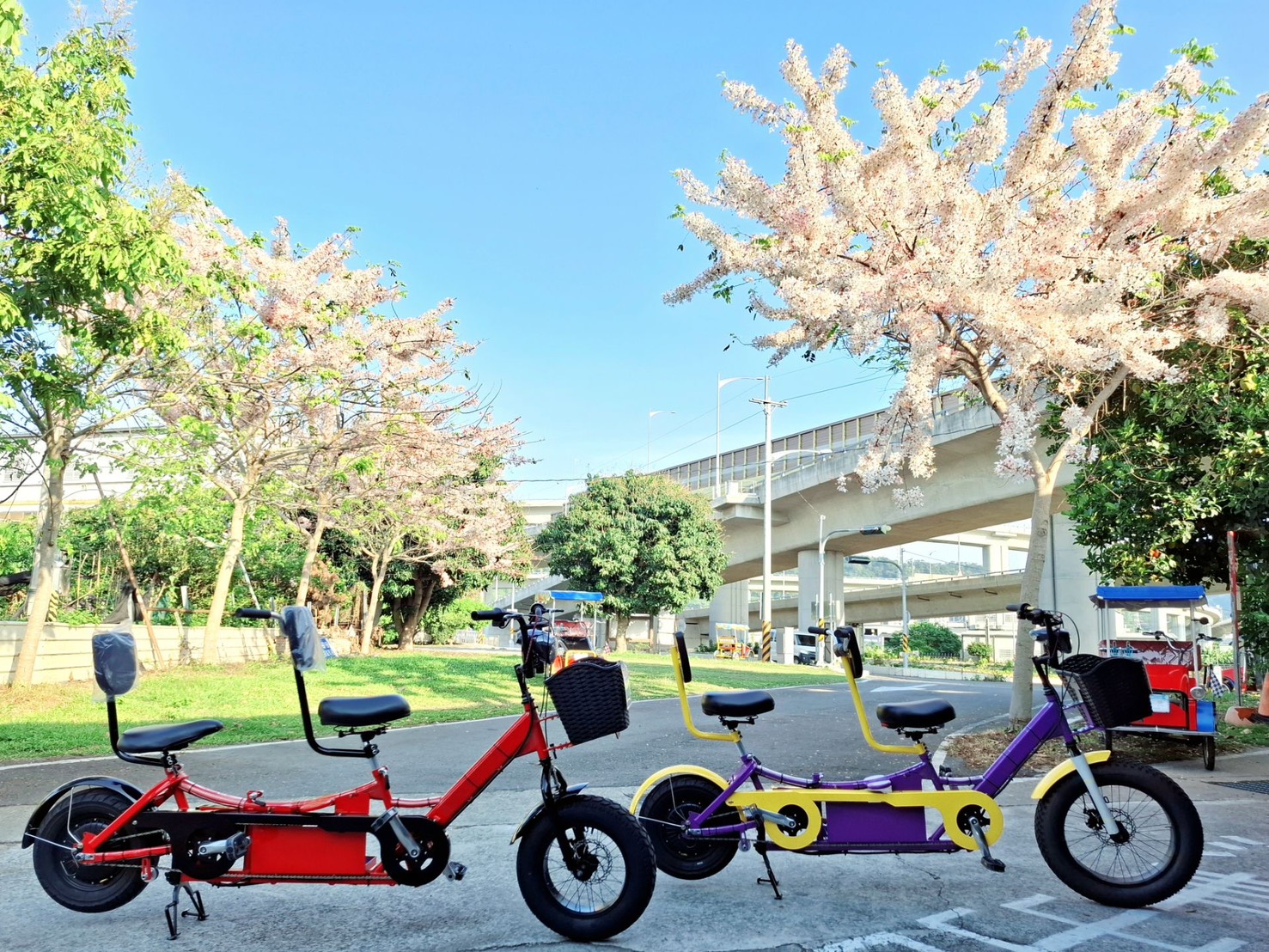 胖胎協力輪轂馬達電動腳踏車-限量版